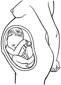 image of baby in the breech position