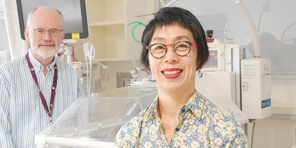 Associate Professor Jeanie Cheong and Professor Lex Doyle lead the VICS research