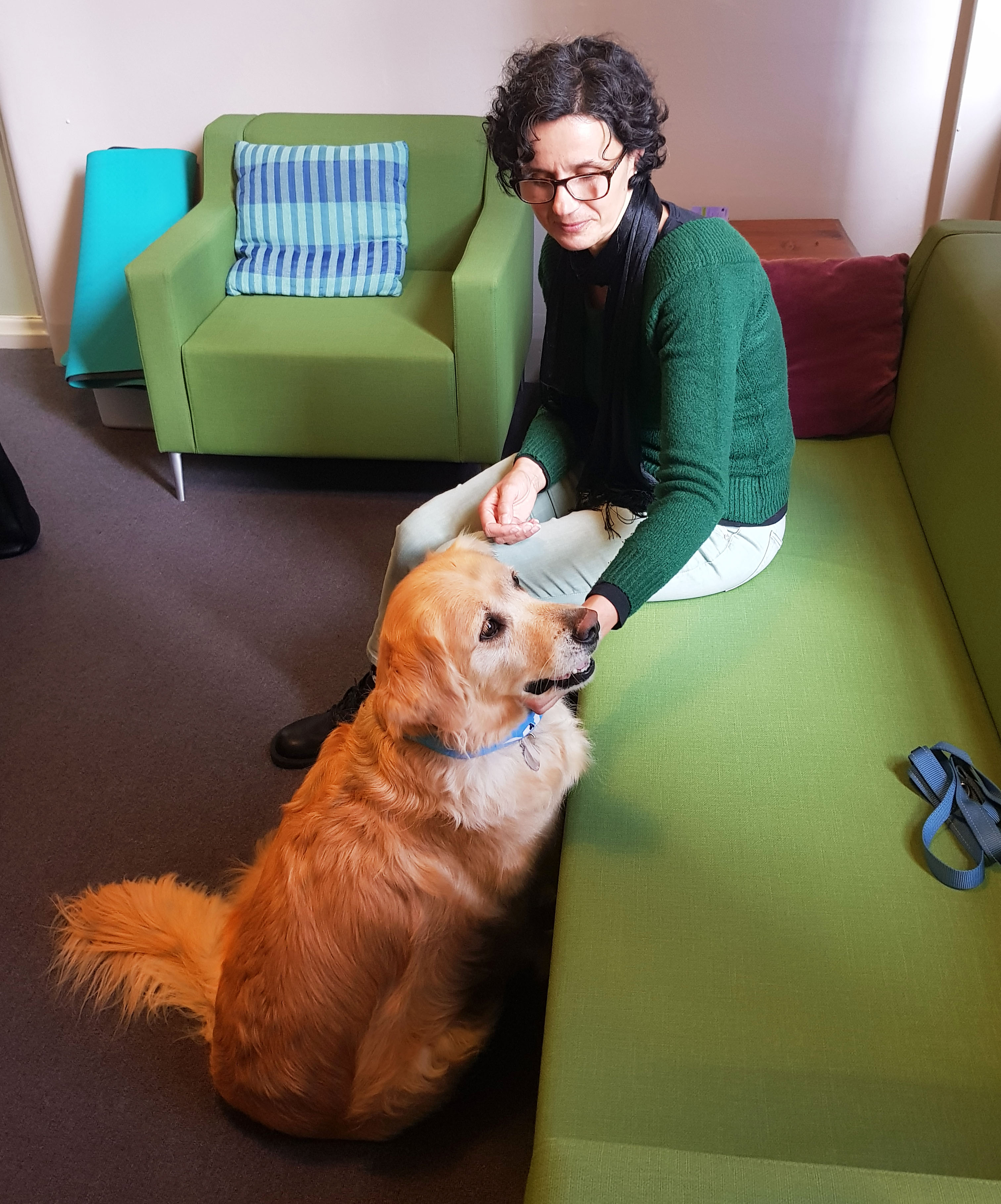 Certified therapy dog Goldie with her handler Lejla Arnautovic at CASA House.