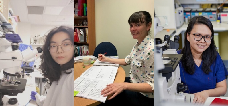 Montage of three scientists. Two women are in the lab environment with a microscope. A third woman is taking research notes.