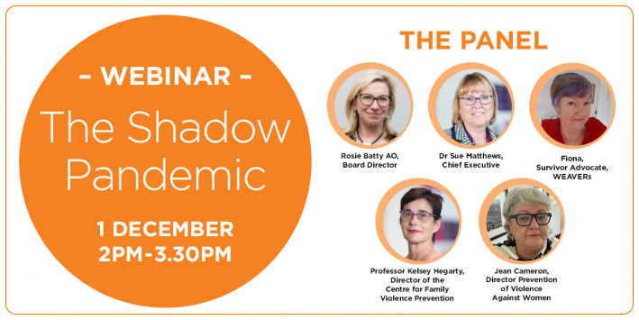 The Shadow Pandemic Webinar