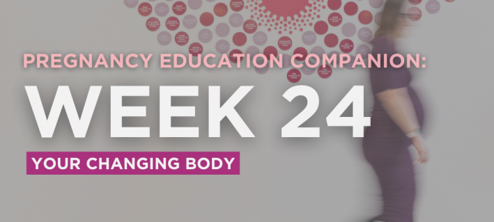 Pregnancy Education Companion: week 24