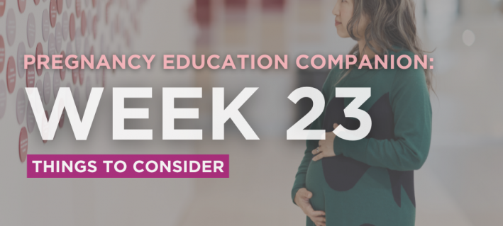Pregnancy Education Companion: week 23