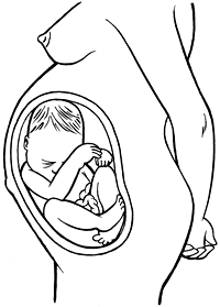 Cephalic Position: Understanding Your Baby's Presentation at Birth