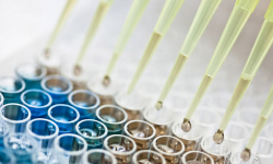 Clinical trials