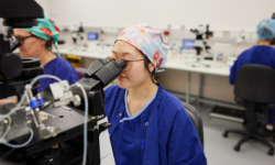 Public Fertility Care