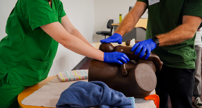 Emergency Birth Program – clinical training