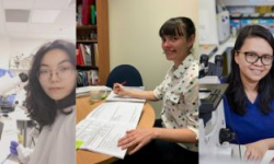 Montage of three scientists. Two women are in the lab environment with a microscope. A third woman is taking research notes.