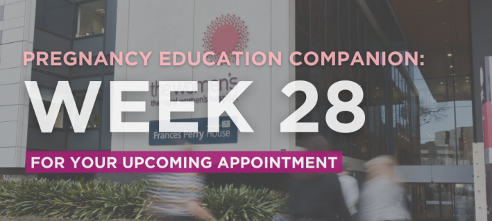 Pregnancy Education Companion: week 28