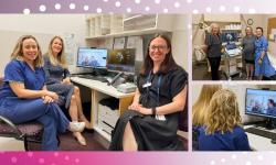 Brianna (top right, centre), 35 weeks pregnant with twins, joined a session linking her local team with specialists in Melbourne. 